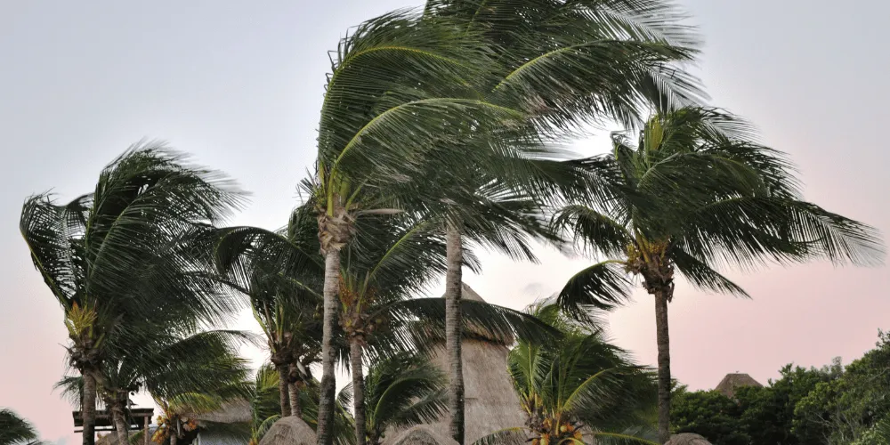 Urgent Weather Alert: Tropical Cyclone Sean Threatens Western Australia Communities