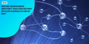 Neuroscience Discovery