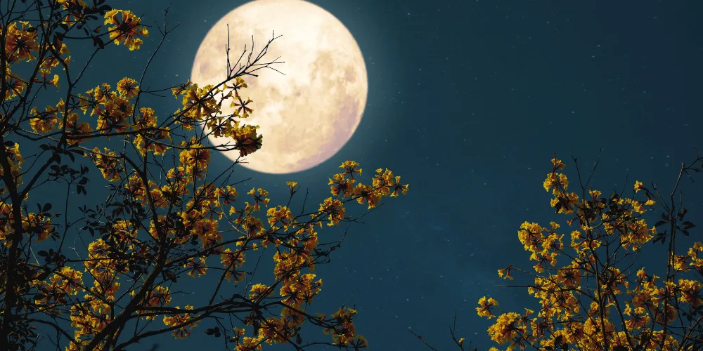 Full Flower Moon